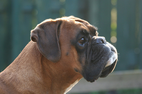 ik zie ik zie wat........