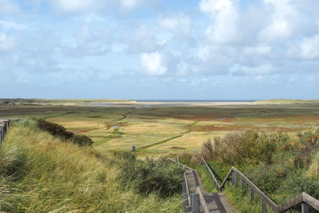 Slufter Texel