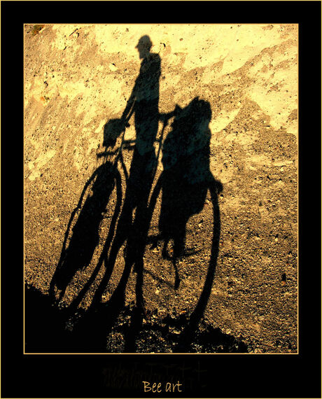 Bike shadow