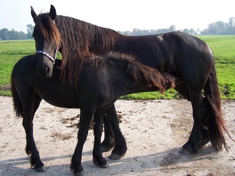 moeder en dochter