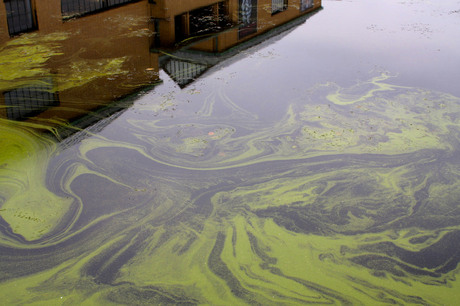 Gemeentemuseum Den Haag