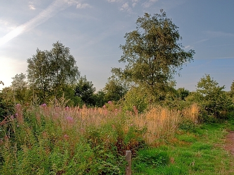 Zwinnebosjes1