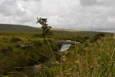 Beekjes en bruggetjes in Dartmoor