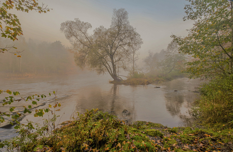 Mist in de Ardennen