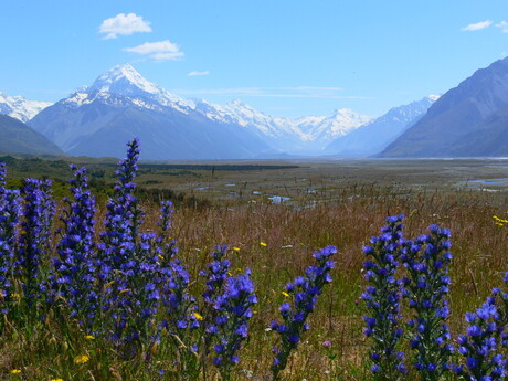 Mount Cook