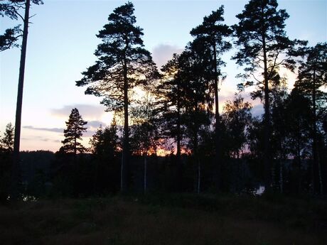 68 Laatste avond in op de camping in Ed