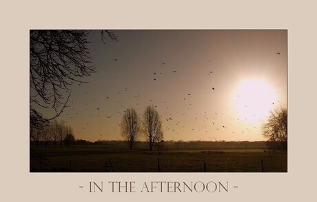 In the afternoon...