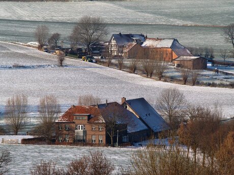 Limburgs landschap in de sneeuw