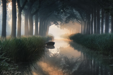 boat in landscape