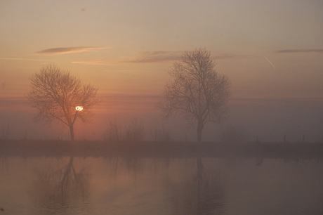 ochtend zon