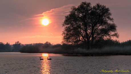 Biesbosch