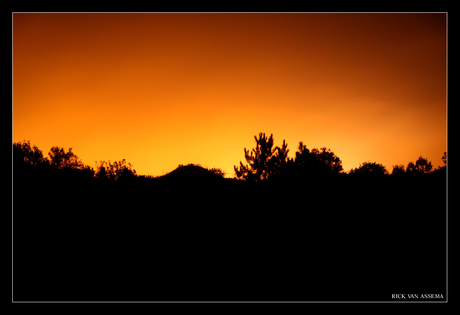 Duinen by night