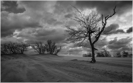 Storm Drunense duinen