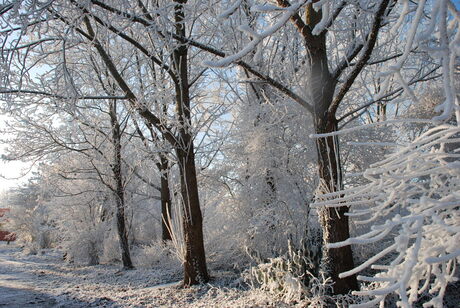 winter in Gouda