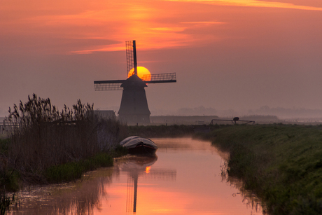 Zonlicht achter de molen