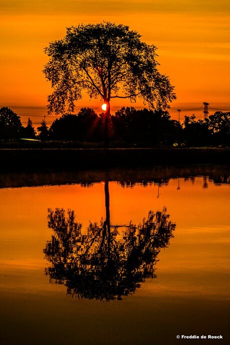 ZONSOPKOMST NATUURGEBIED MOERENBURG