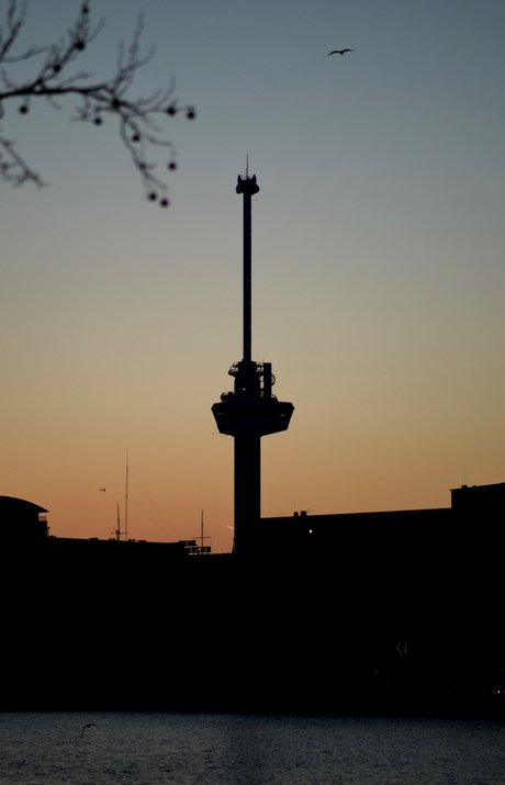 Rotterdam bij ochtendgloren