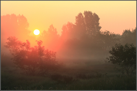 Zonsopkomst in herfstsfeer