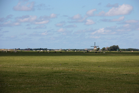 Noord Hollands landschap