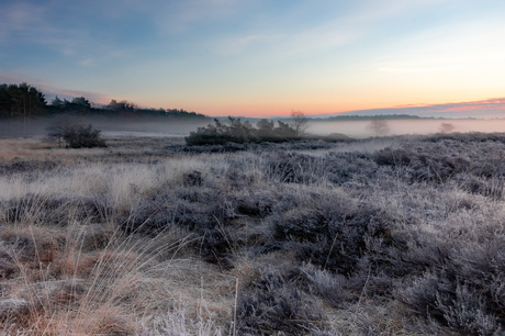 Zonsopgang op de heide