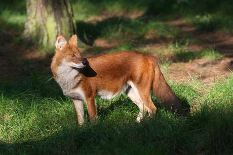 Beauty in the sun....................