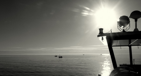 De Waddenzee