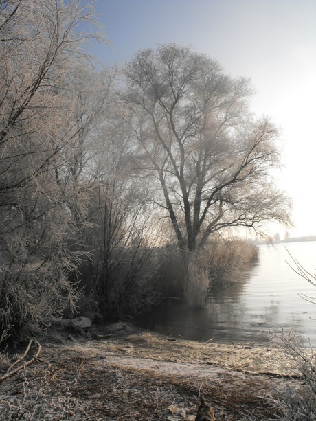 Winter in Barendrecht, Nederland
