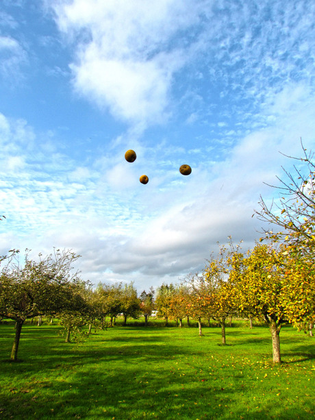 IFA'S (Identified Flyin' Apples)