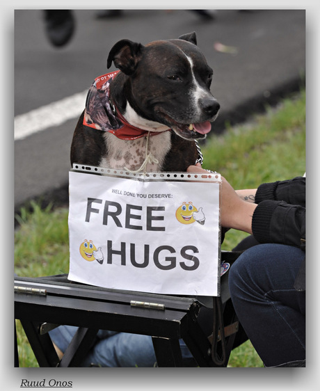 Free Hugs