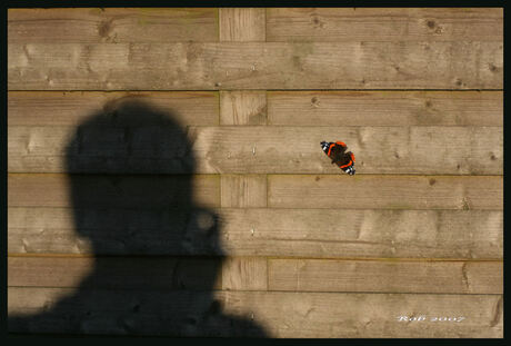 shadow on the wall