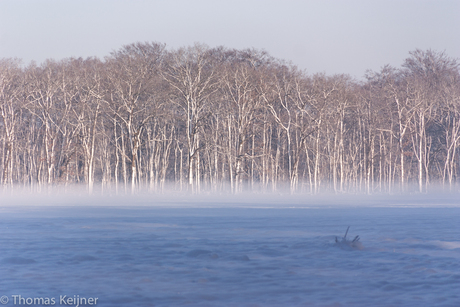 Sneeuw en mist