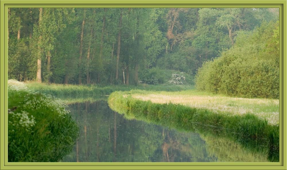 Rust - natuurgebied Drunense duinen een deel is het hogere gelegen en droog en een ander deel is lagergelegen met veel water - foto door janwelt op 28-05-2006 - deze foto bevat: natuur