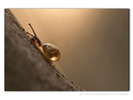 Running Up That Hill