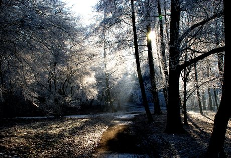 Zonsdoorkomst in de Winter