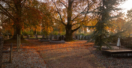 Herfst 1 (1 van 1)