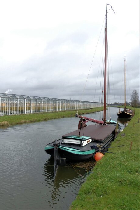 P1140406 De Lier Zijtwende 2 zeilende Westlanders 17 mrt 2021