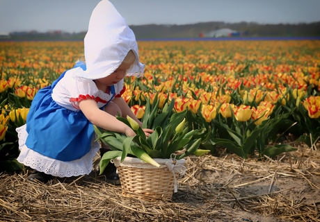 Hollands tulpenmeisje in Julianadorp