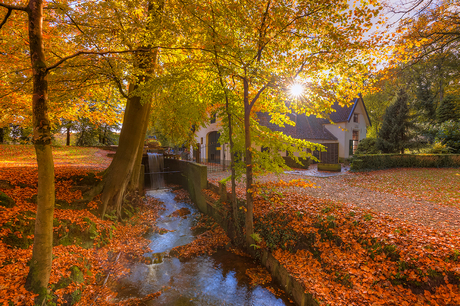 Herfst op Landgoed Staverden