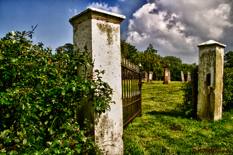 Cemetery W 1