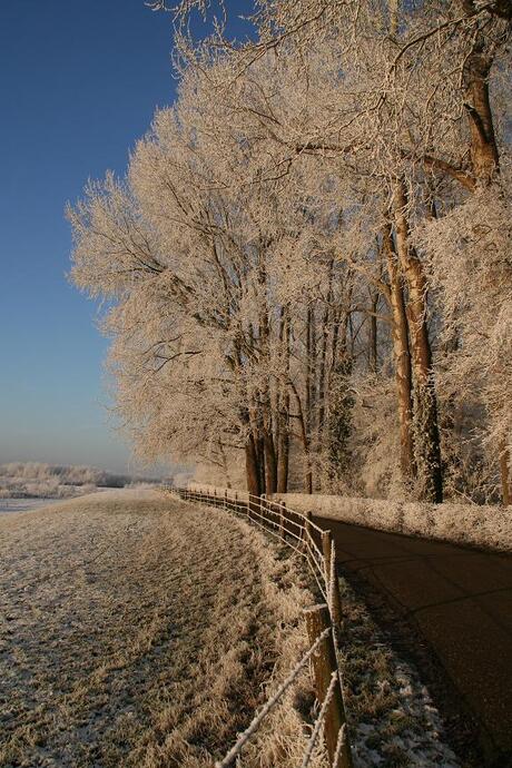 Een winters plaatje 2