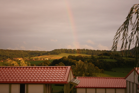 Regenboog