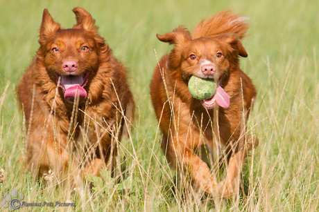 Maddy en Luca 'actie'