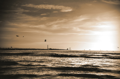 Pier Hoek van Holland in sepia