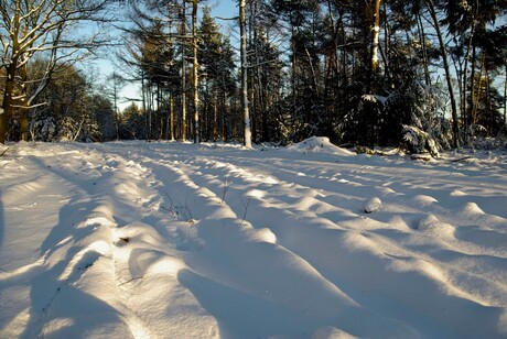 Winters sfeertje