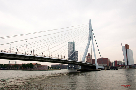 Erasmusbrug