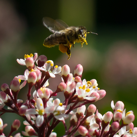 Spring is in the air!