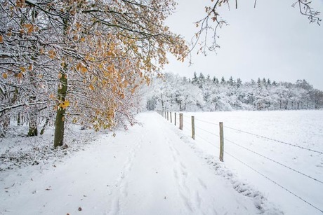 winterslandschap