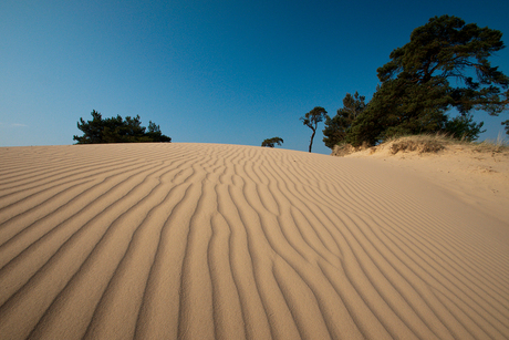 Golven in het zand