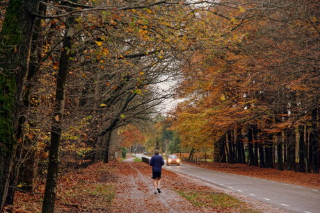 Hoog Buurloseweg