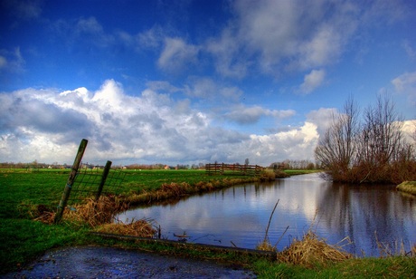 mooi in de polder